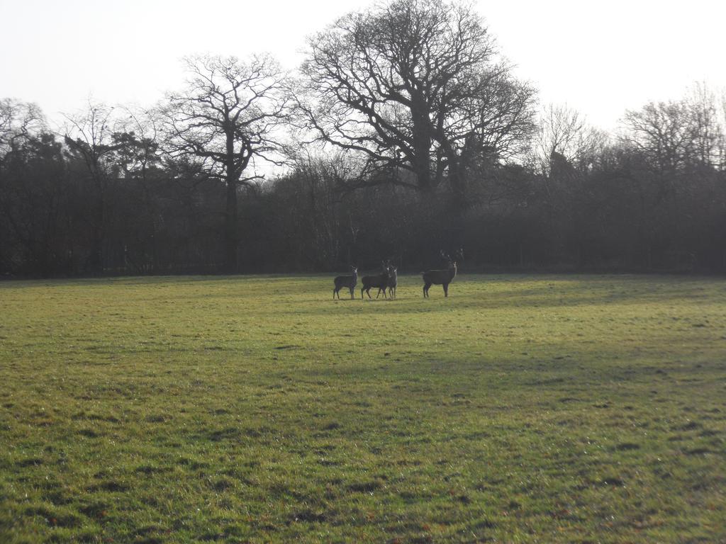 The Stables - Deer Park Farm Bed & Breakfast Solihull Cameră foto