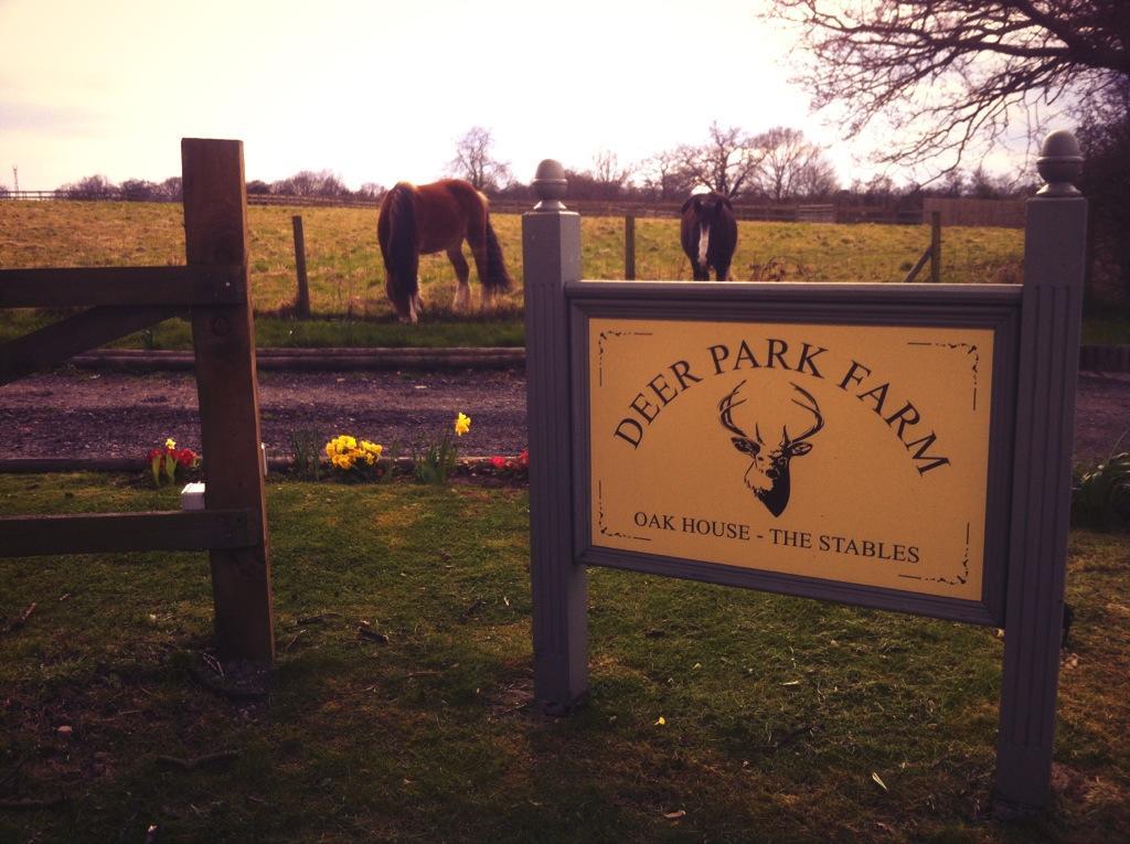 The Stables - Deer Park Farm Bed & Breakfast Solihull Cameră foto